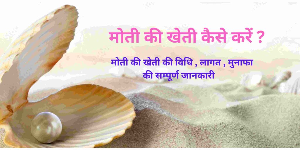 Pearl Cultivation in Hindi
