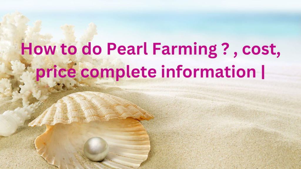 Pearl Farming