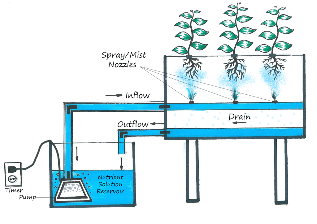 aeroponics vertical farming